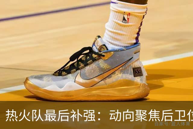 热火队最后补强：动向聚焦后卫位置